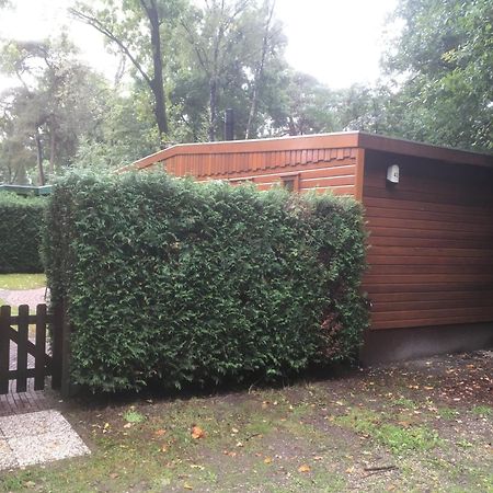 Cedar Cottage Veluwe Ermelo Eksteriør billede